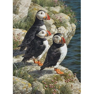 Cobble Hill 500 Puzzle de pièce - Quai de pêcheur - Modèle d'affiche inclus