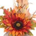 thumbnail image 5 of Potted Floral-Orange Sunflower, 5 of 5