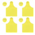 thumbnail image 3 of Ear Tag Ear Tag Yellow Pp 20 Set Livestock Identification Blank Ear Tag For Goats Sheep Cattle Cows Pigs Farm Supplies, 3 of 8