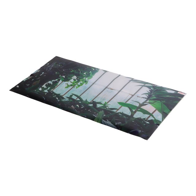 Fish Tank Wallpaper Sticker, Odorless Waterproof Aquarium Background Decor For Underwater 61x30cm