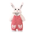 thumbnail image 1 of Diconna Infant Baby Fuzzy Bunny Costume Long Sleeve Hood Coat Button Down Warm Rabbit Romper, 1 of 4
