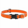 thumbnail image 1 of Collier pour Chien 1x12-20 Pouces -48352, 1 of 1