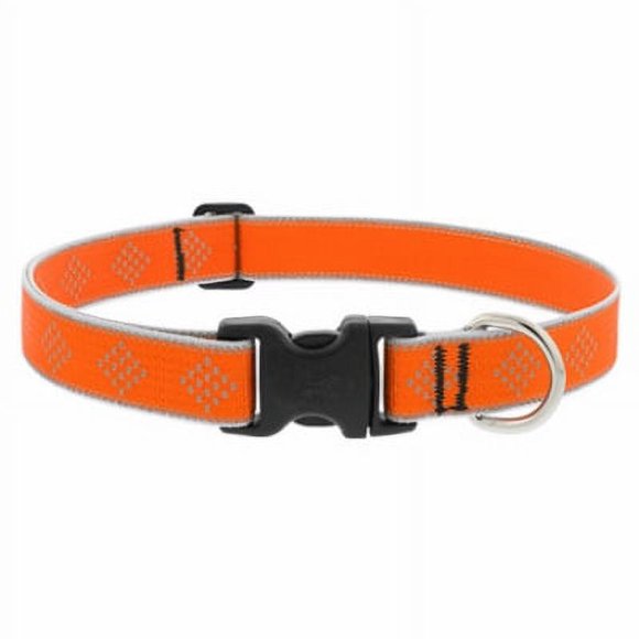 Collier pour Chien 1x12-20 Pouces -48352