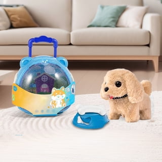 Jouets pour chiens : mâcher, jouer et s'amuser | Petits Compagnons
