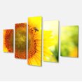 thumbnail image 2 of Tournesol en Floraison sur Champ - Grande Impression d'Art sur Toile d'Animaux, 2 of 3