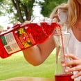 thumbnail image 4 of Ready-To-Use Hummingbird Nectar, 64-oz. 239, 4 of 4