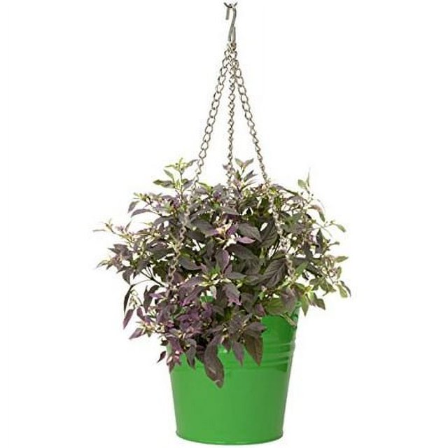 Houston International 6151E AG 9-Inch Steel Hanging Planter, Apple Green