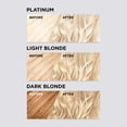 thumbnail image 3 of L'Oréal Paris Colorista Bleach Hair Color, 3 of 7