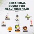 thumbnail image 5 of Ola Tropical Apothecary Shampooing Biologique à la Noix de Coco - 8 fl oz, 5 of 5