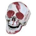 thumbnail image 2 of Yhmxh Halloween Decorations,Party Favors,Halloween Skeletons Plastic Realistic Fake Simulation Human Skull HeadBone Model Halloween Prop Realistic Mini Skeleton Spooky Halloween Decoration, 2 of 5