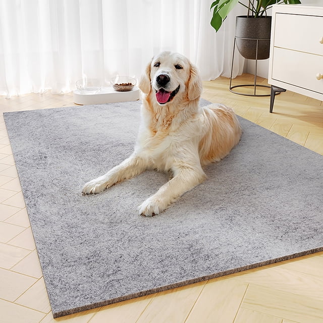 Openpig Tapis pour Chien, Tapis pour Chien Antidérapants Réutilisables Très Grands Améliorés, Tapis de Mise Bas à Séchage Rapide, Tapis d'Entraînement pour Chiot