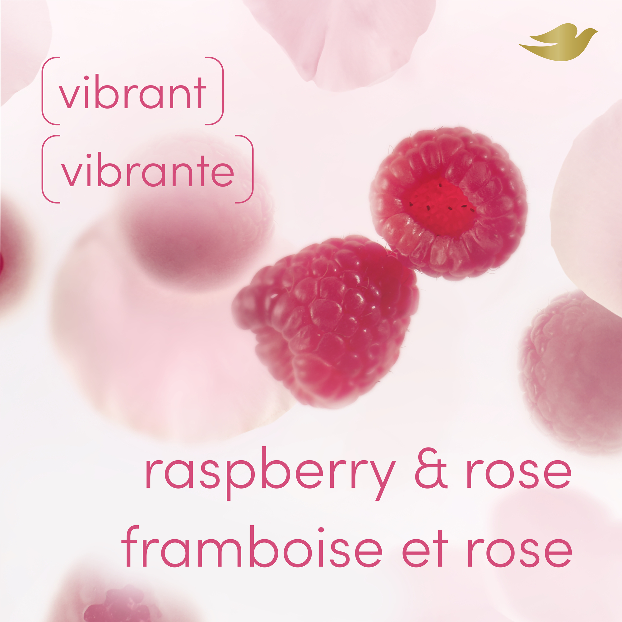 Dove Désodorisant en Bâton pour Tout le Corps Sans Aluminium Framboise et Rose, 68 g