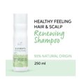 thumbnail image 2 of Wella Elements Shampooing Rénovateur, 250 ml, 2 of 6