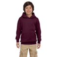thumbnail image 1 of Hanes Big Boys Ribbed Waistband EcoSmart Pullover Hoodie, 1 of 1