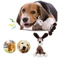 thumbnail image 1 of Jouet Interactif Durable Qui Couine pour Chien, Compagnon pour Petites et Moyennes Races, 1 of 5