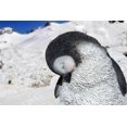 thumbnail image 4 of Décoration de Jardin Statue d'Animal Grand Penguin Endormi, 4 of 4