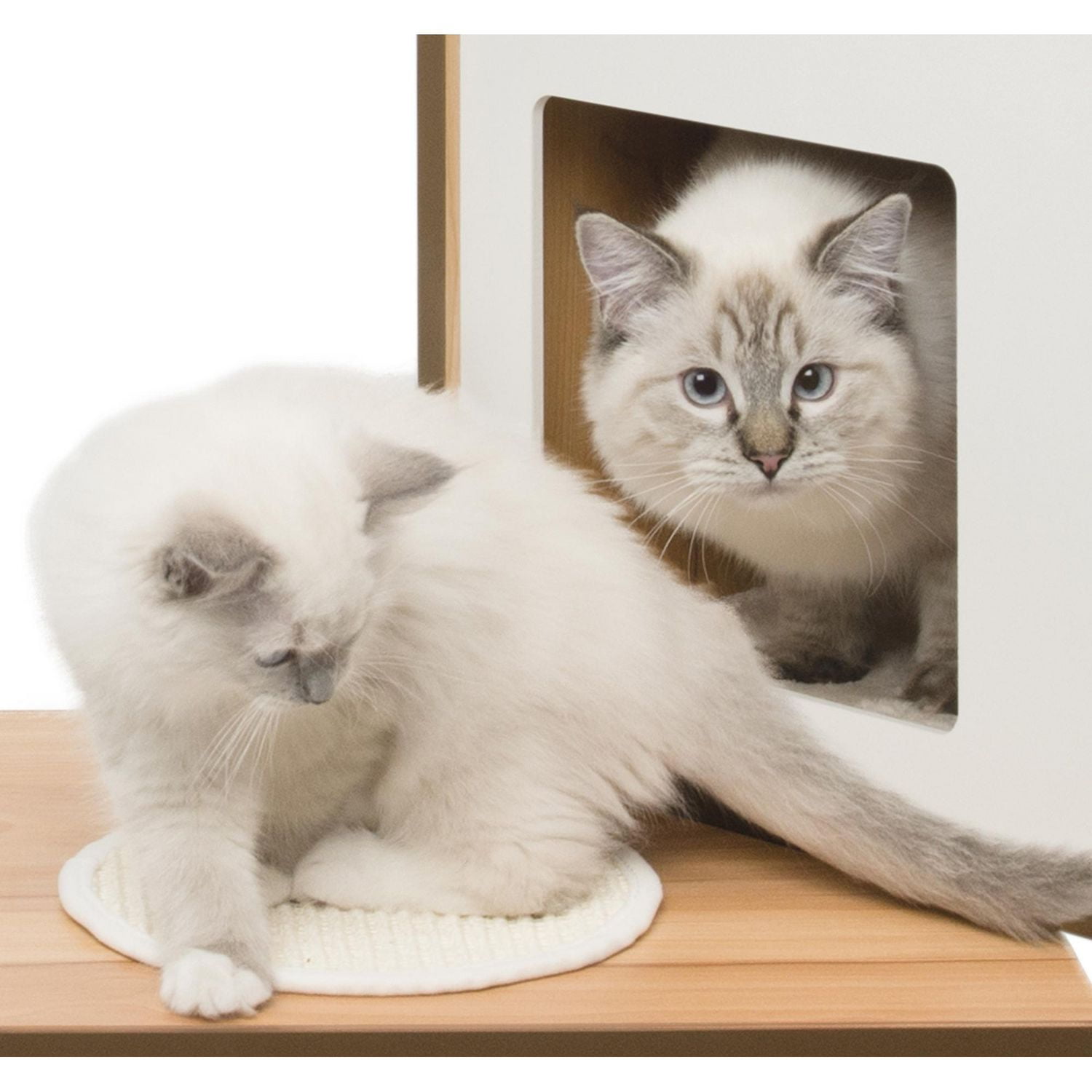 Catit Vesper V-Double Cat Furniture, Walnut
