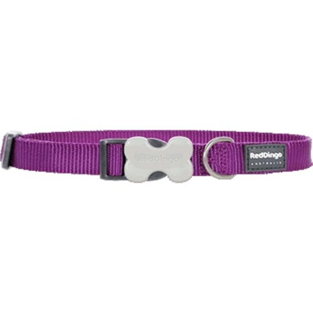 Red Dingo DC-ZZ-PU-LG Dog Collar Classic Purple- Large