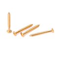 thumbnail image 2 of lionlar 4 Pieces Gold Neck Plate Mounting Screws For ST Electric Guitar Parts, 2 of 6