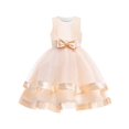 thumbnail image 1 of Girls Dress Sleeveless Champagne Ball Gown Wedding Party Pageant 7 Years, 1 of 5