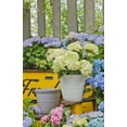 thumbnail image 3 of Mainstays Basic Bell Planter 8 inch Grey, Classic Design with Attached Tray Durable Weather Resistant  Matte Finish, 3 of 3