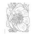 thumbnail image 5 of Dover Livre de Coloriage Creative Haven, Full Bloom, 5 of 5
