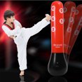 thumbnail image 4 of Bangcool Fitness Punching Bag Inflatable Heavy Punching Bag Boxing Target Bag for Kids, 4 of 7