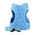 thumbnail image 1 of Decodeary Traction Rope Practical Small Belt Lightweight Kitten Breathable Soft Chest Strap Pet Walking Supplies Outdoor Sky Blue M, 1 of 6
