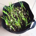 thumbnail image 4 of Maytalsory Round Fabric Reusable Plant Pouch Container Breathable Grow Pot Planter Bag 30*25cm 1Set, 4 of 6
