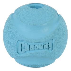 Chuckit! Fetch Ball Medium Durable Rubber Ball Dog Toy