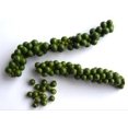 thumbnail image 1 of Green Peppercorns, 1 of 1