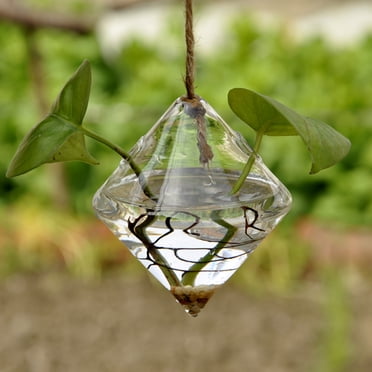 Yeacher Hydroponic Plant Vase Desktop Clear Glass Diamond Shape Terrarium Plant Holder for Garden Balcony