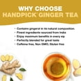 thumbnail image 3 of HANDPICK Ginger Tea Sachets (100 Unités), Sans Caféine, non-OGM, 3 of 8