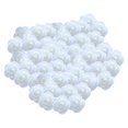 thumbnail image 1 of GROWTH TANK Mini Artificial Rose Heads Stemless Flower Heads for Table Home Decoration White, 1 of 8