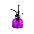 thumbnail image 1 of Embossed Glass Watering Can with Fine Mist Sprayer for Gentle Hydration and Decorative Garden Vase, 1 of 3