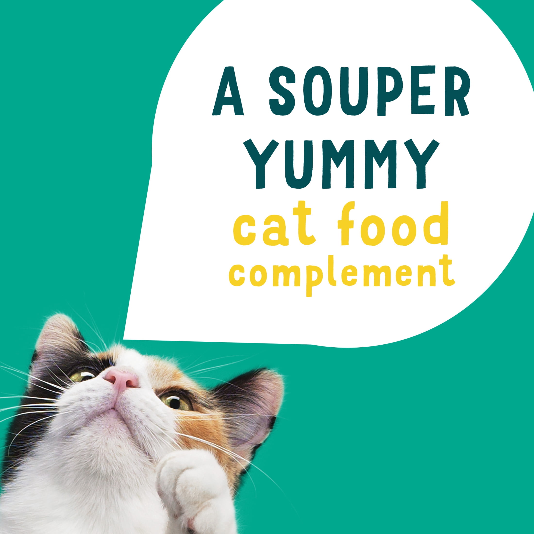 Purina Friskies Lil' Soups Skipjack Tuna, Cat Treats 34g