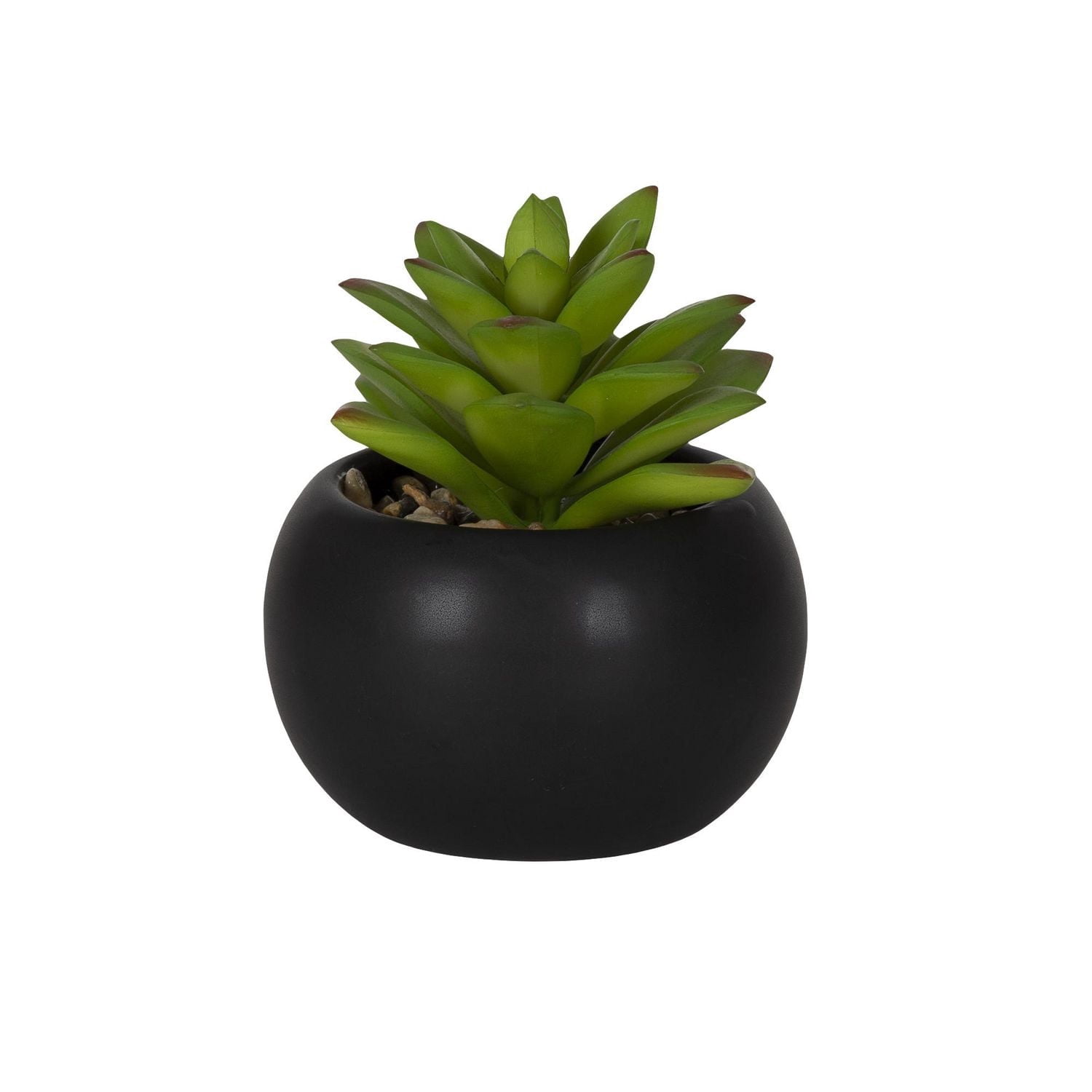 DesignOvation Succulente artificielle de table de 10,5 cm de haut dans un pot en céramique noire