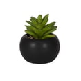 thumbnail image 1 of DesignOvation 4.13" H Tabletop Artificial Succulent in Black Ceramic Pot, 1 of 9