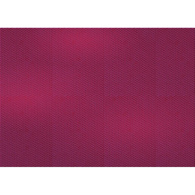Ahgly Company Tapis Rectangulaire Lavable en Machine Intérieur Transitionnel Rouge Framboise, 6 Pieds x 9 Pieds