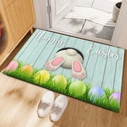 Bath Rug Non Slip Easter Decor Shower Mat, Absorbent Floor Mat Bathroom Mat Cute, Bath Mat Rugs for Bathroom Floor
