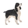 thumbnail image 2 of Baohd Realistic Plastic Animal Figure Simualtion Model Toys Elegantes Sprin, 2 of 9