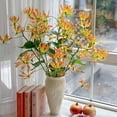 thumbnail image 2 of HJADGG Bulbes de Rothschildiana Gloriosa (Lys de Feu/lys en Flammes) - Vigne Grimpante Exotique Fleur 8 Pcs / 20 Pcs Floraisons Rouges et Jaunes Vibrantes pour Jardin et Contenants (Orangey Rose,8), 2 of 6