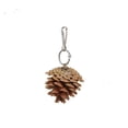 thumbnail image 2 of Birdeem Toy Pinecone Soothing Supplies, 2 of 8
