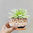 thumbnail image 1 of Circular Glazed Ceramic Planter Set for Indoor Garden Display with Unique Kiln-Turned Color Blend Succulent Pots and Mini, 1 of 4