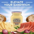 thumbnail image 3 of Moutarde de Dijon Grey Poupon Sachets Portion de 0,25 oz - 200/caisse, 3 of 4