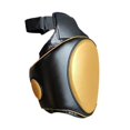 thumbnail image 2 of Lipstore Kickboxing Thigh Pad Protect Pad for Taekwondo Punching Target Gold Left, 2 of 8
