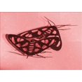 thumbnail image 1 of Ahgly Company Tapis d'Intérieur Rectangulaire Transitionnel Lavable à la Machine, Rouge Pamplemousse, 2 Pieds x 3 Pieds, 1 of 7