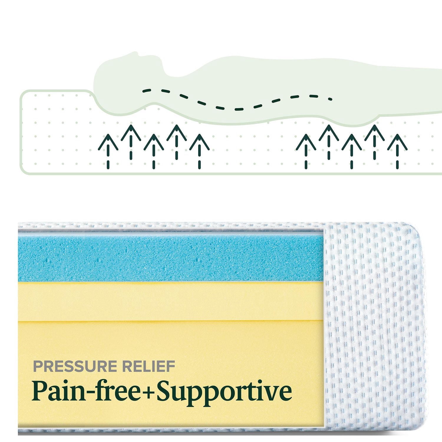 Matelas en mousse à mémoire de forme Zinus Green Tea de 10 pouces