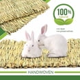 thumbnail image 2 of Bunny Chew Toys for Teeth, Molar Rabbit Toys Natural Organic Apple Sticks for Rabbits, Chinchillas, Guinea Pigs, Hamsters Chewing Playing Improve Dental Health, 2 of 5