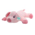 thumbnail image 1 of Way to Celebrate Floppy Pink Pig Plush - Large, 1 of 6